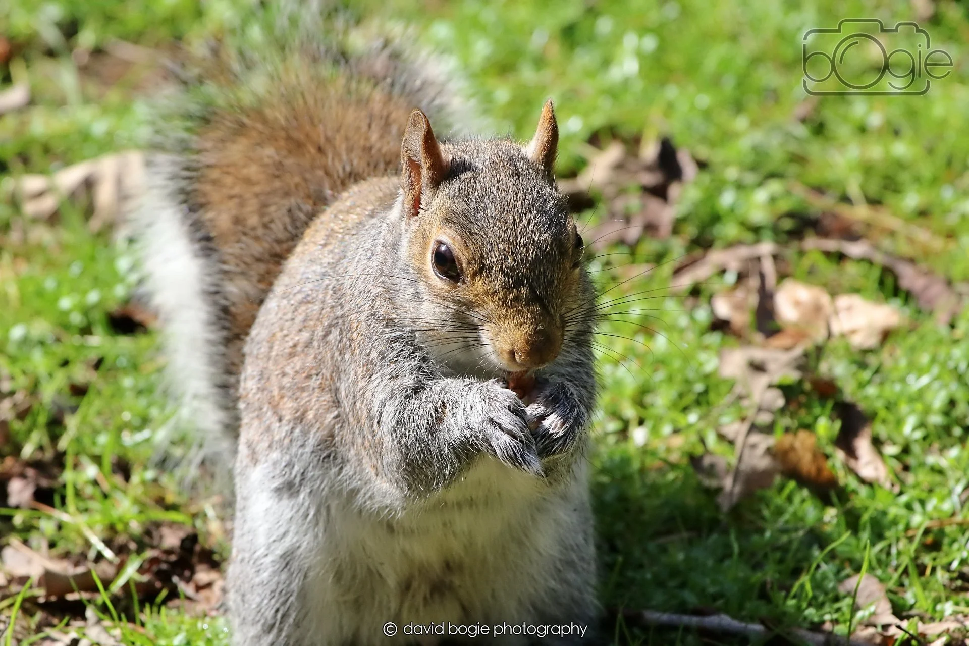 20260402 123618 Ravenscraig 0438.jpg