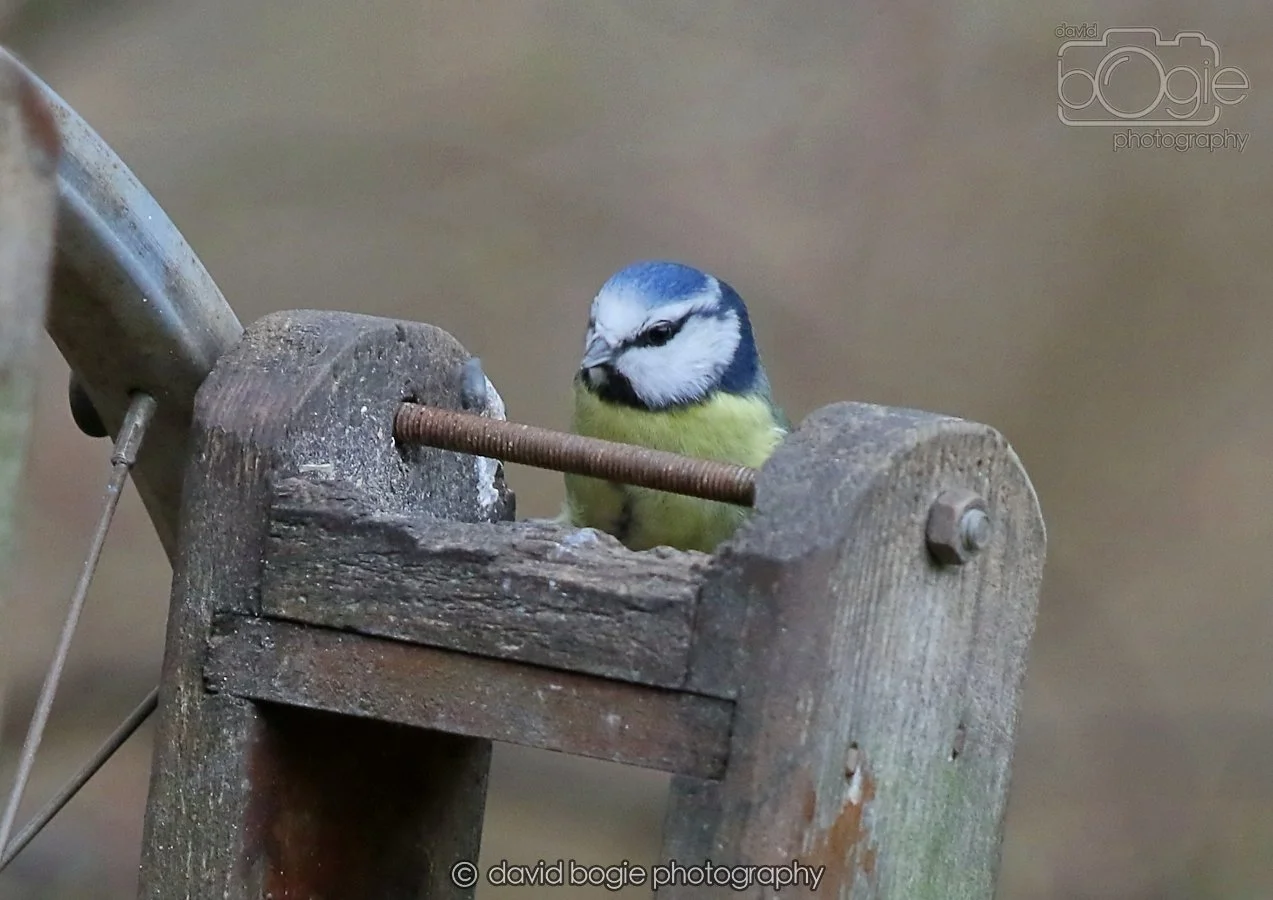 20260215 125740 Silverburn 0010.jpg