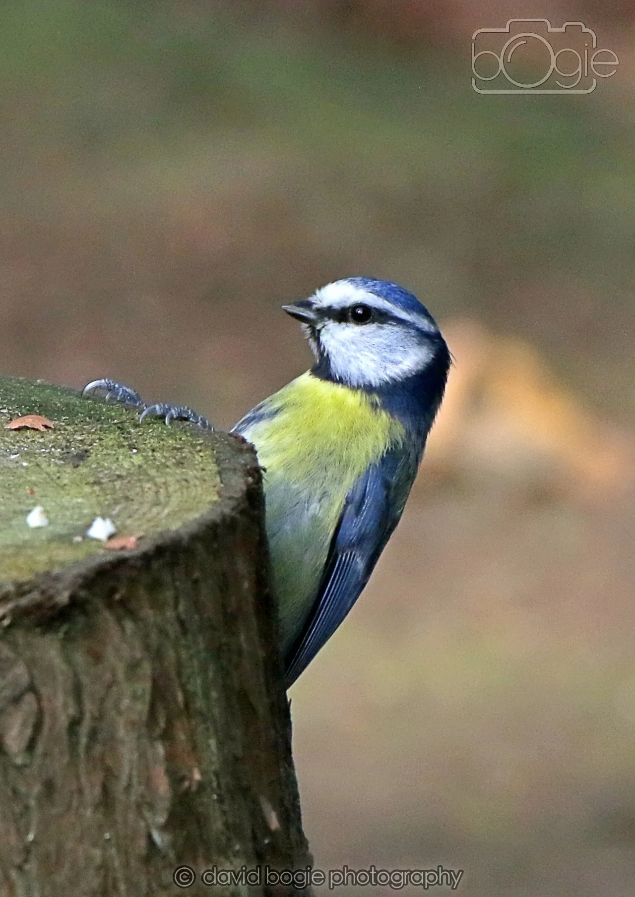 20260322 143827 Dunnikier 0057.jpg