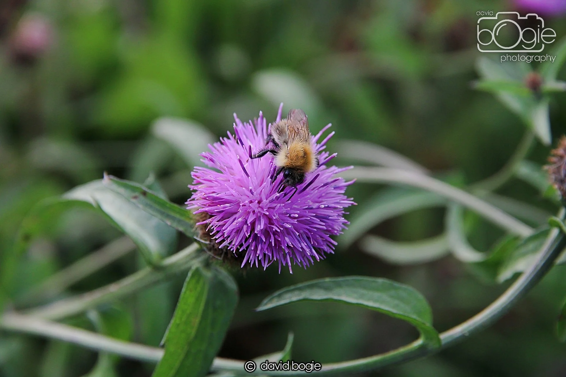 20220926 Beveridge Park11 .JPG