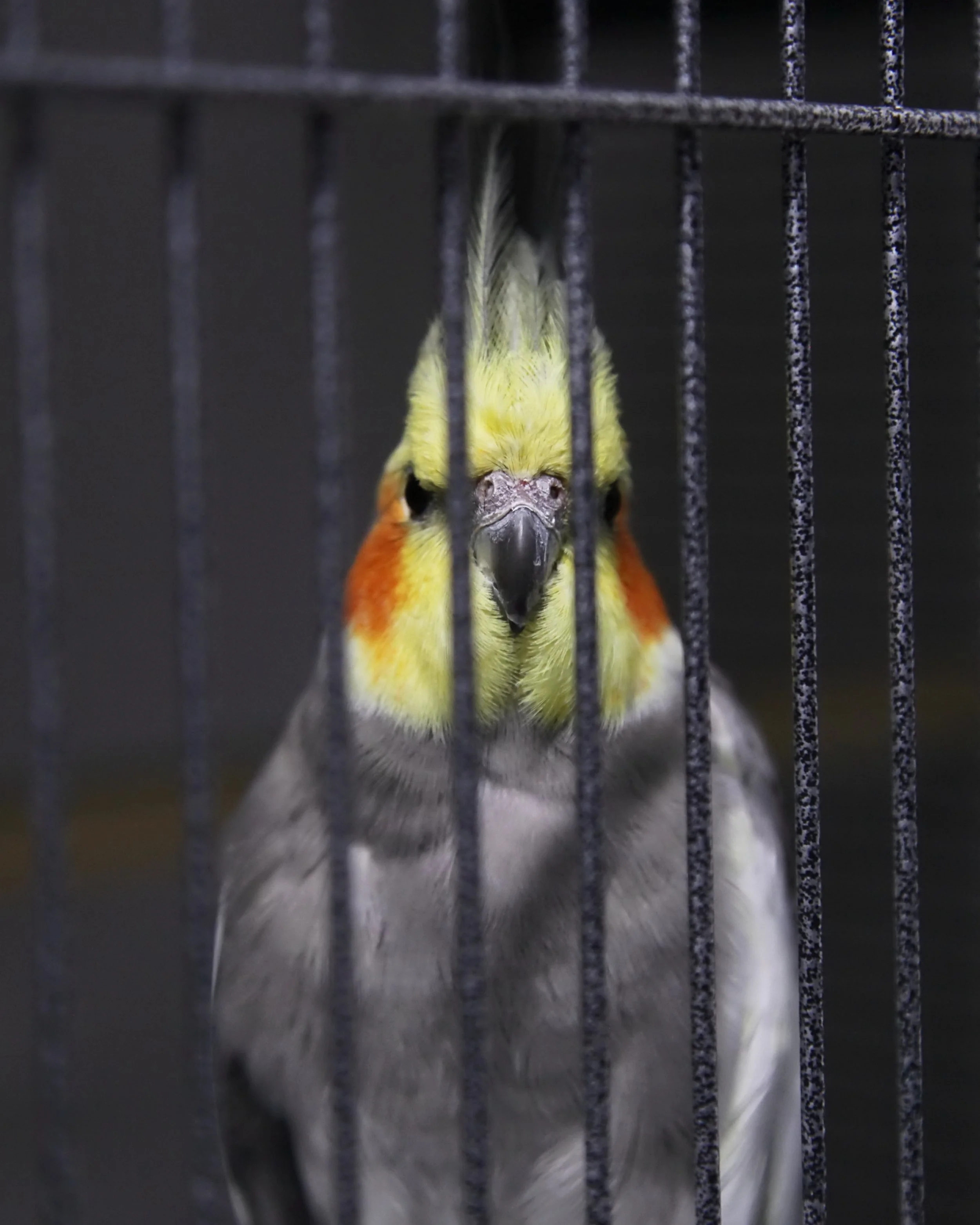 20260305 164608 K&S 0219.jpg