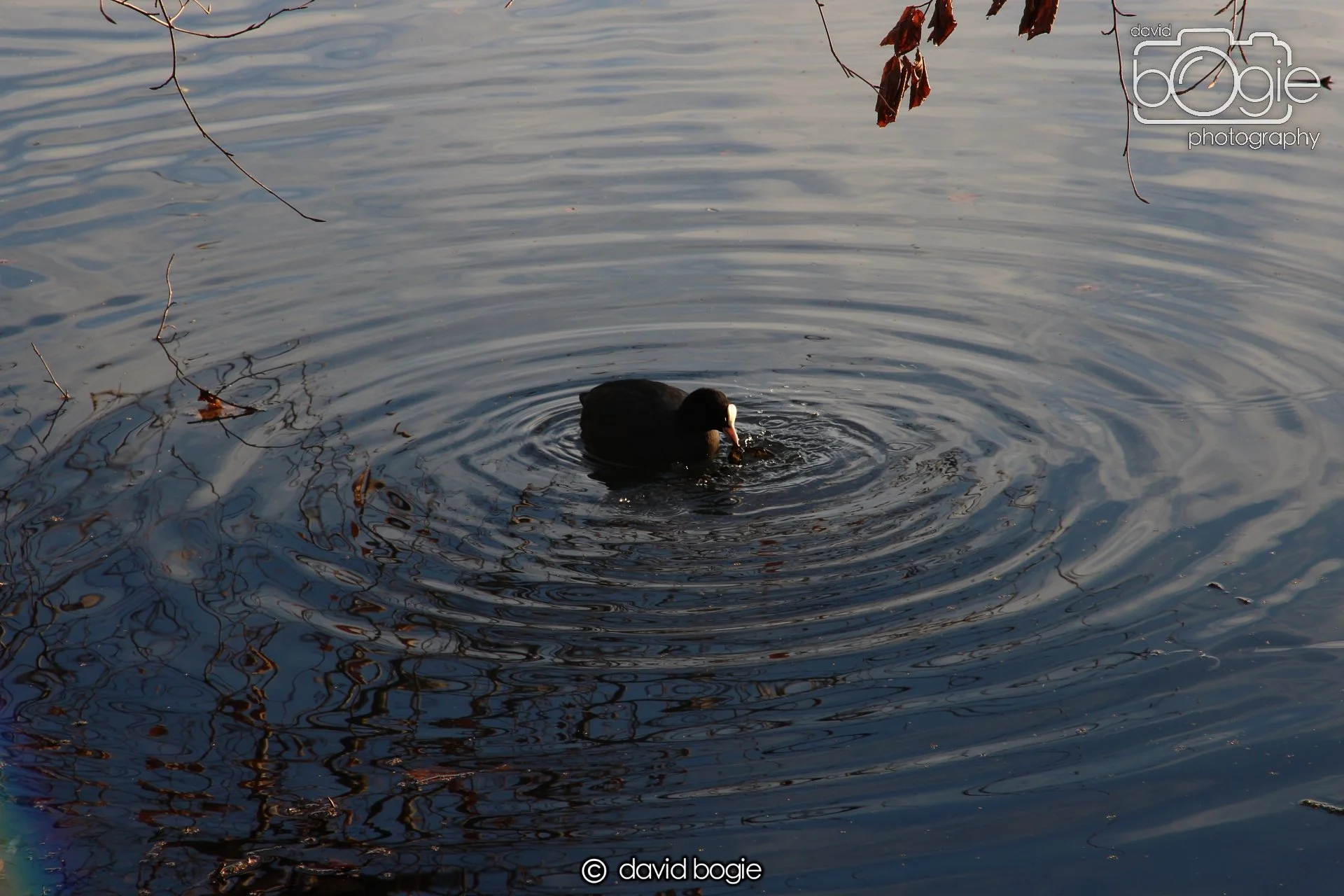 20221222 Beveridge Park 00007.JPG