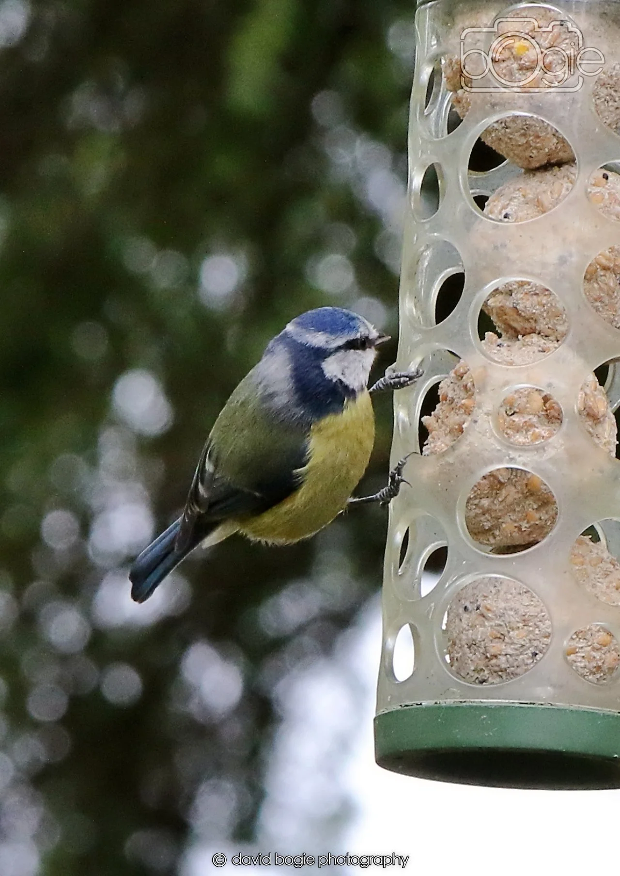 20260330 112549 Dunnikier 0142.jpg