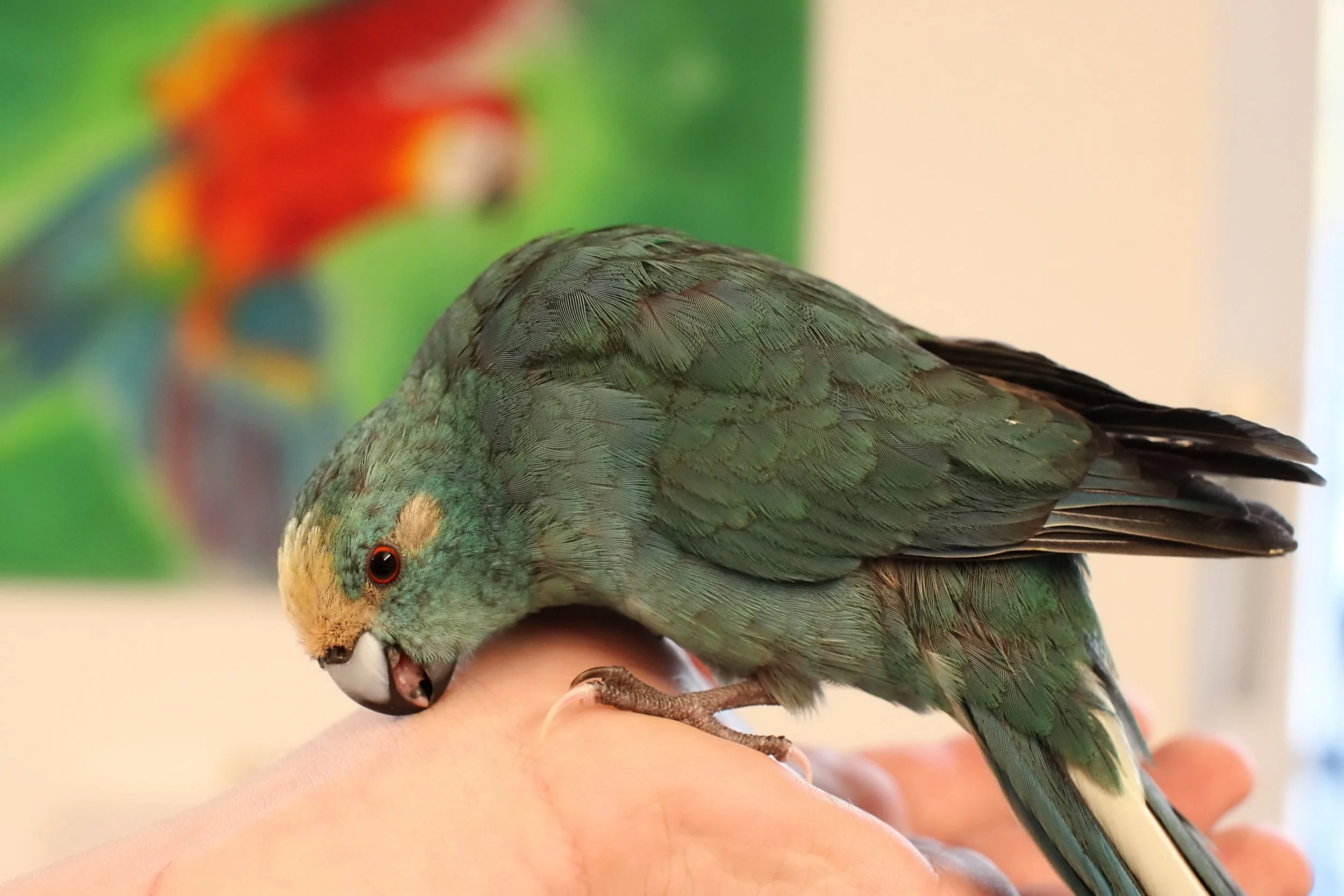 20251206 122618 K&S 0016.JPG