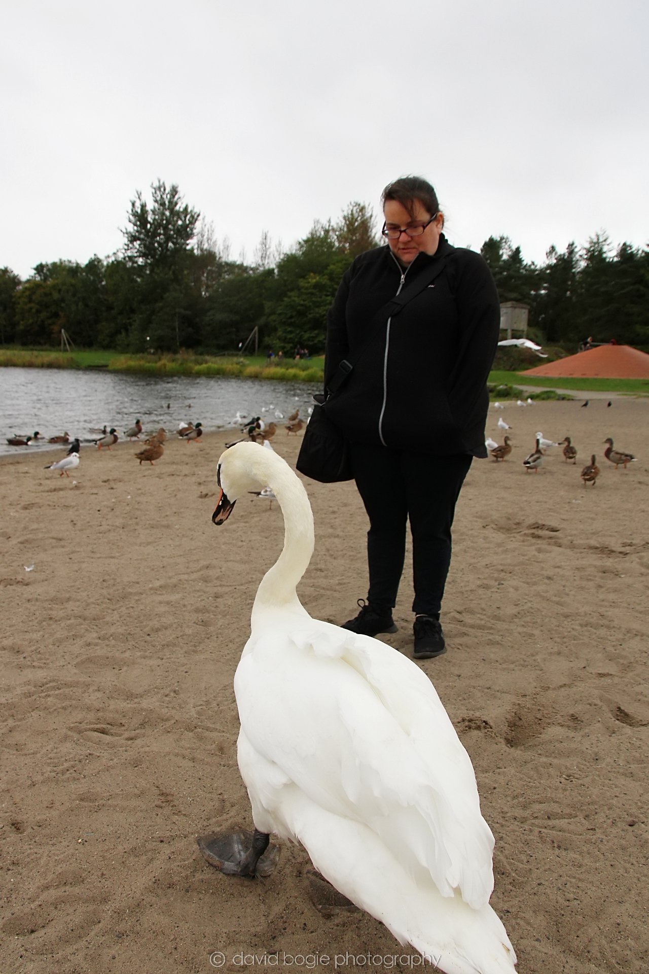 YEAR20220925 Lochore 19.jpg
