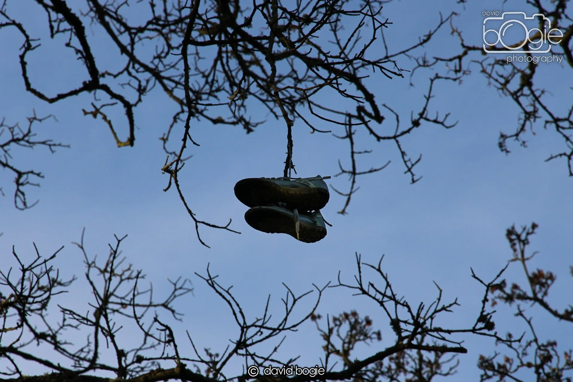 20221222 Beveridge Park 00002.JPG