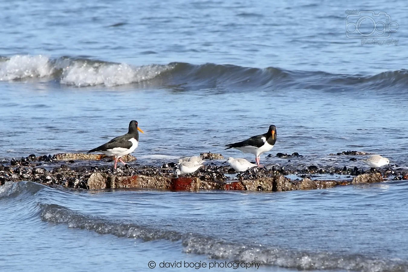 20260307 110930 Kirkcaldy 0011.jpg