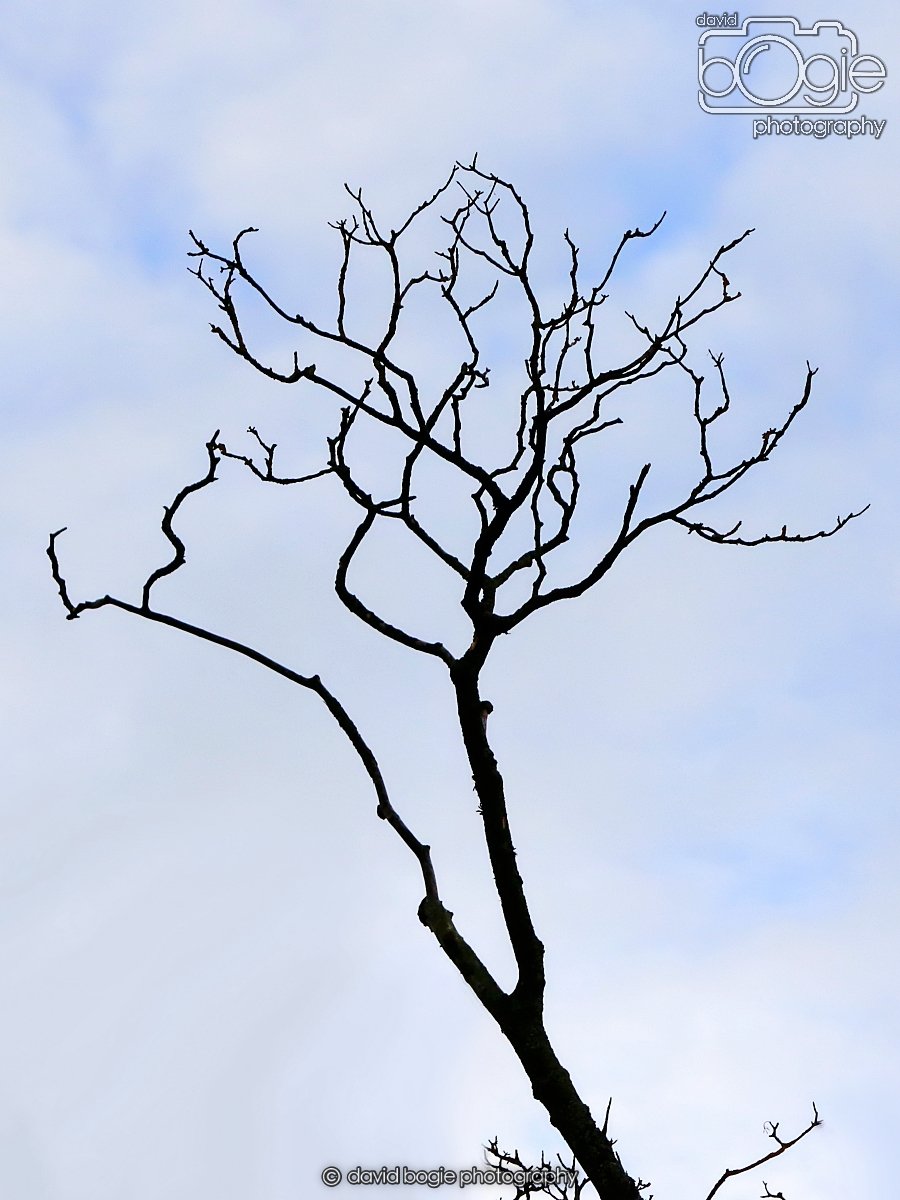 20260114 124331 Beveridge Park 0105.JPG