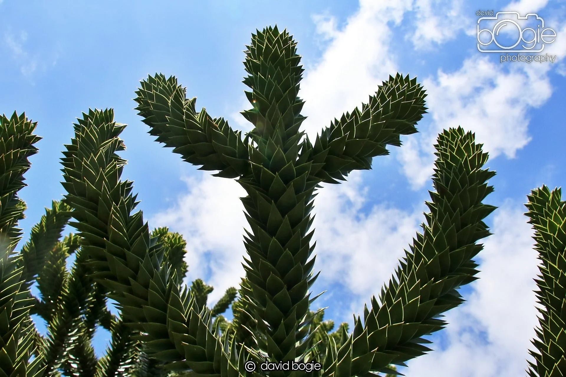 20250505 134314 Beveridge Park 0969.JPG