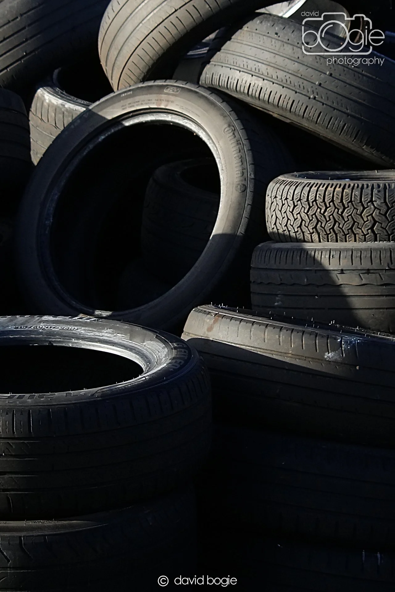 20221208 Reekies 00009 .JPG