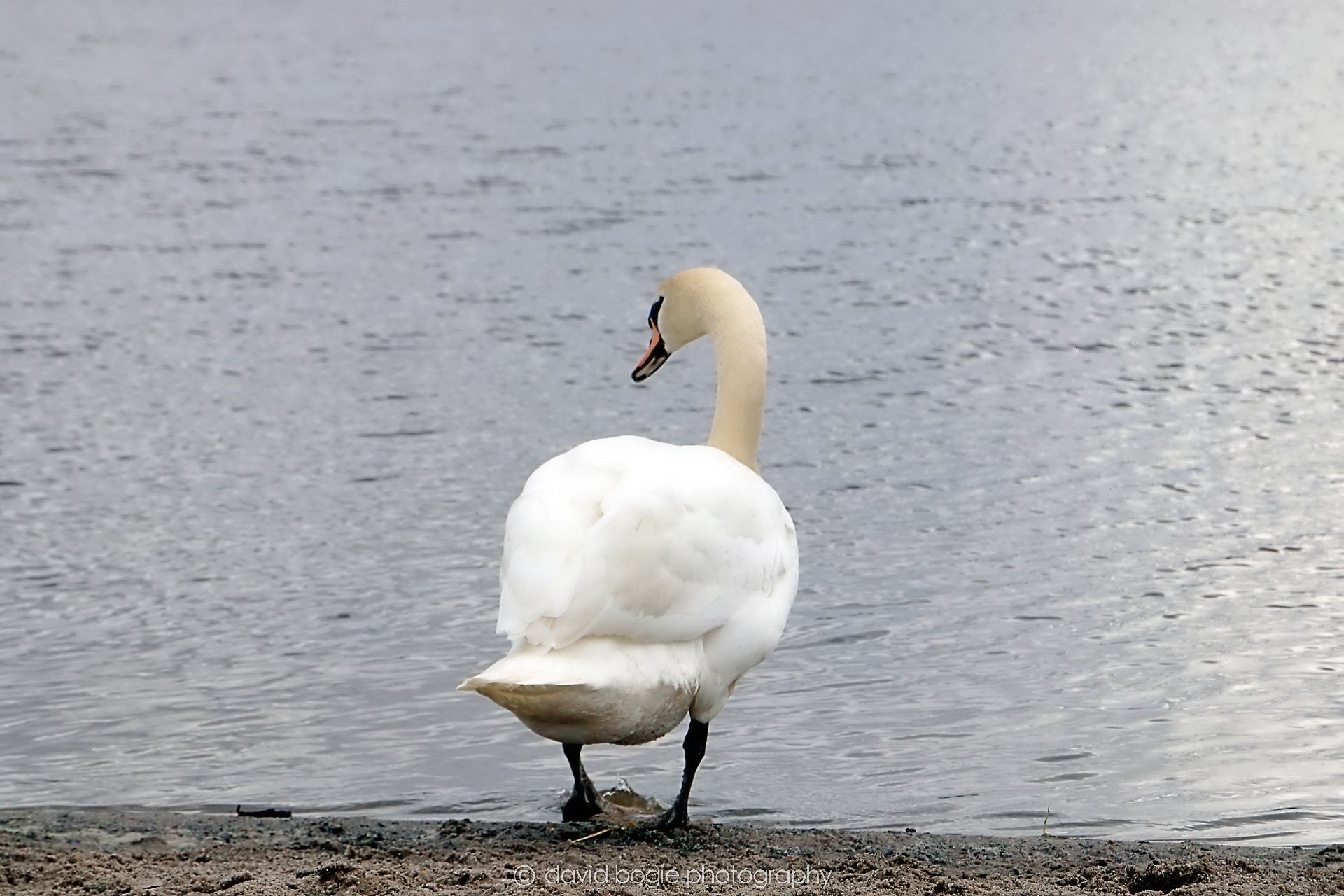 YEAR20240316 145404 Lochore Meadows 0024.jpg