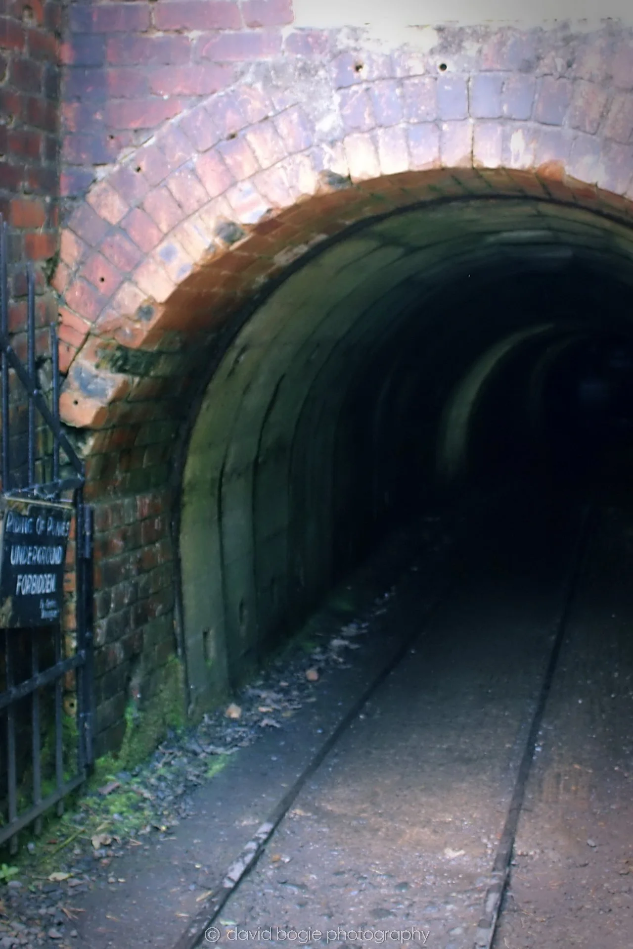 20190722 140824 Beamish .jpg