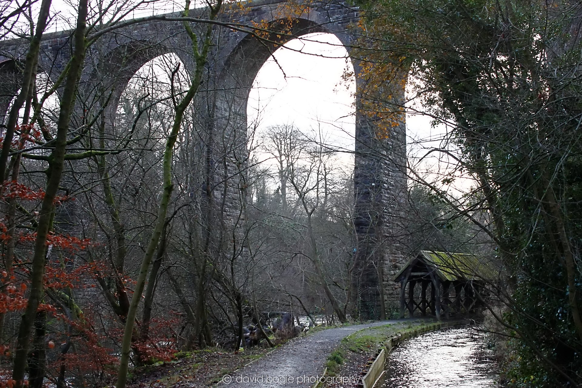 YEAR20251205 135244 East Calder 0097.jpg