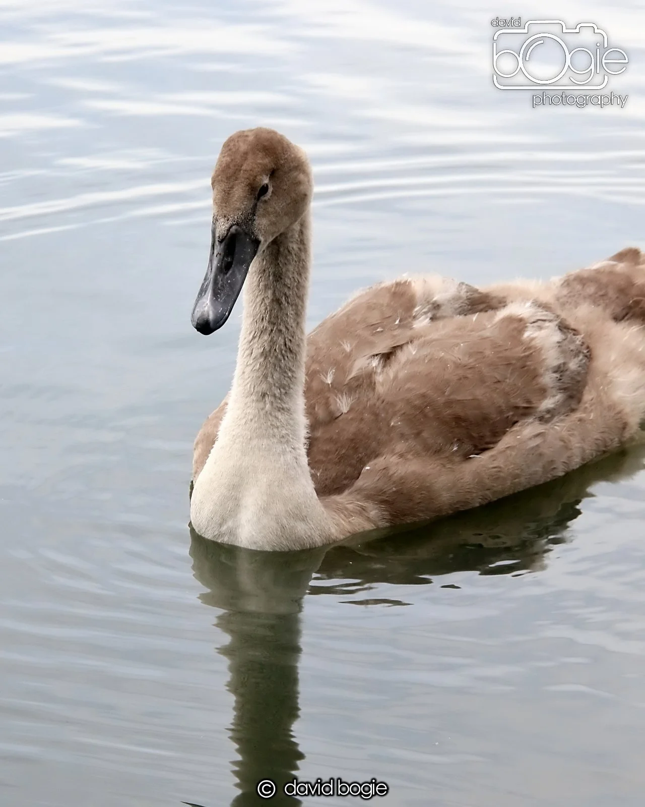 20250721 124127 Beveridge Park 0245.JPG