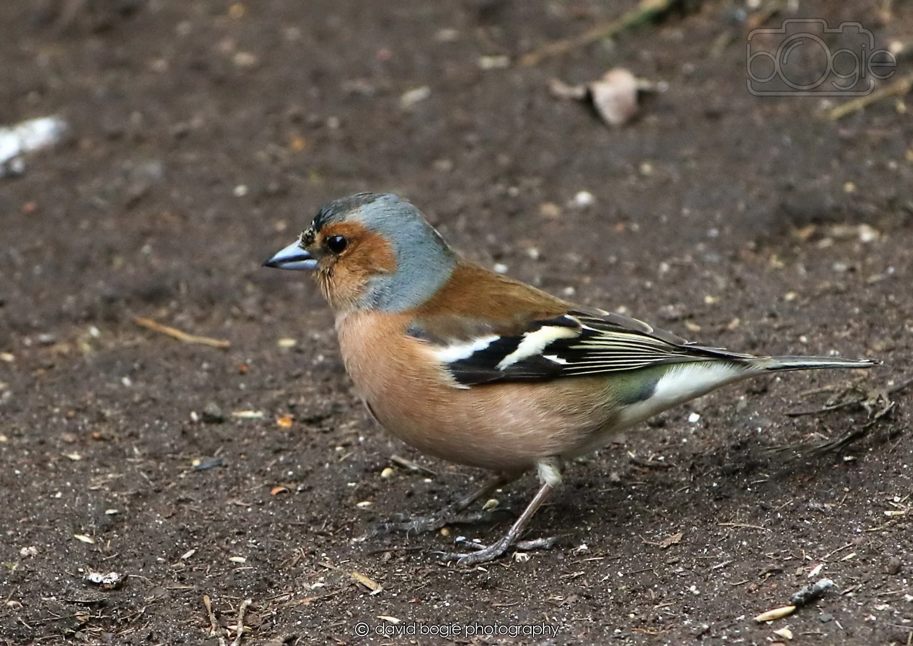 20260326 113606 Silverburn 0216.jpg