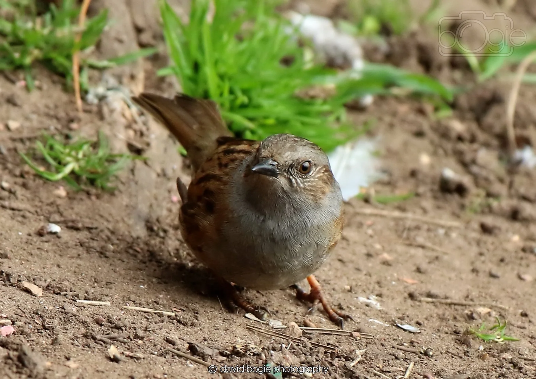 20260326 120122 Silverburn 0303.jpg