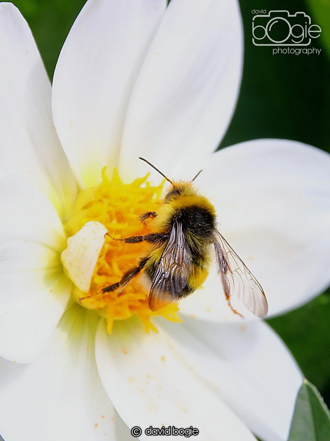 20240722 131814 Beveridge 0075.JPG