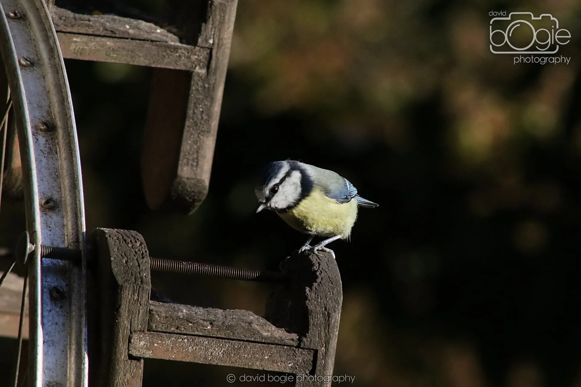 20251125 141209 Silverburn 0630.JPG