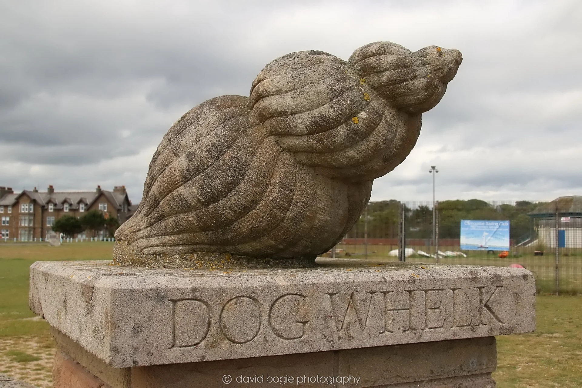 YEAR20250630 124610 Carnoustie 0036.jpg