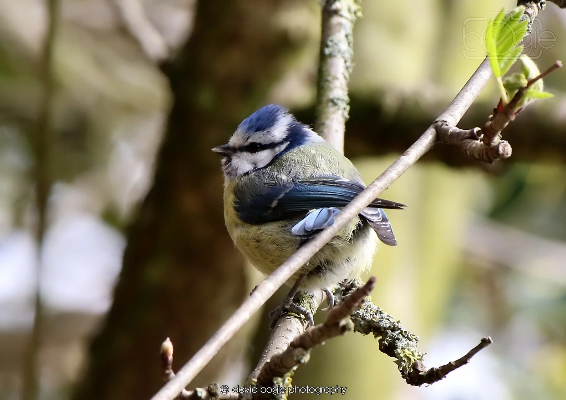 20260326 120708 Silverburn 0395.jpg