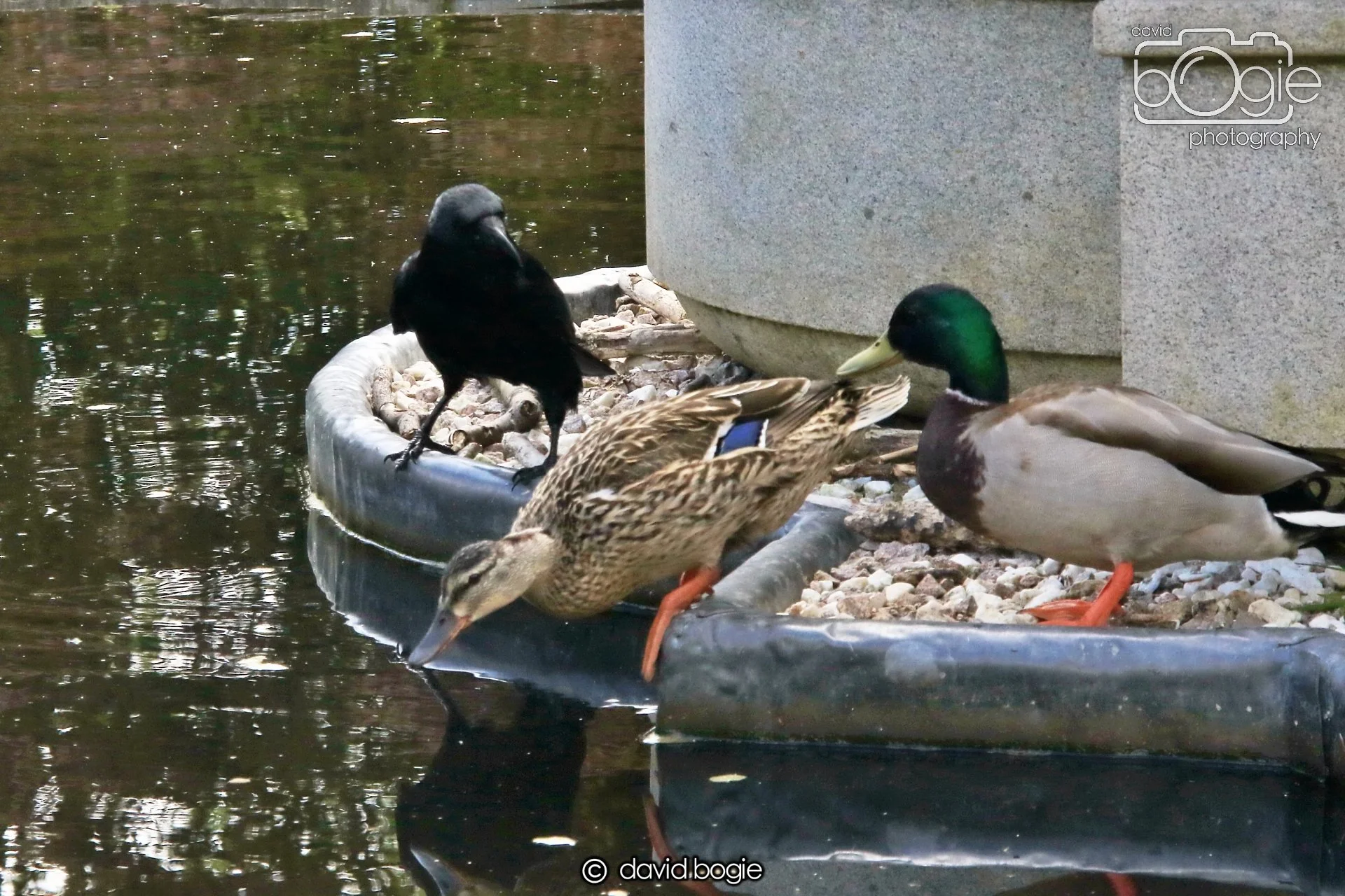 20250505 132329 Beveridge Park 0806.JPG