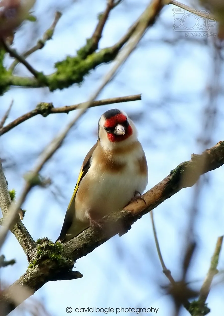 20260306 105343 Dunnikier 0126.jpg