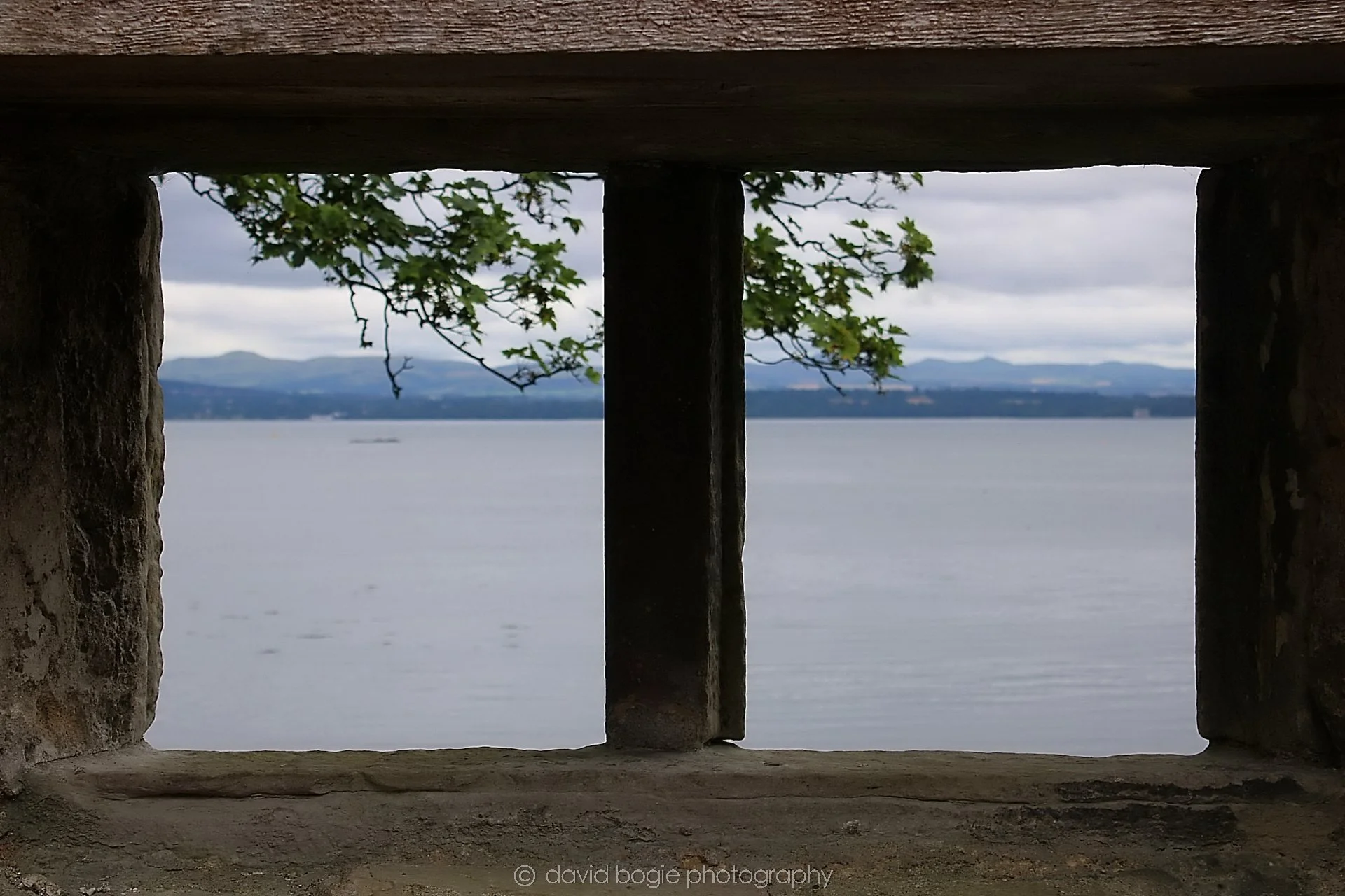 20190814 142445 Dalgety Bay 0018.jpg