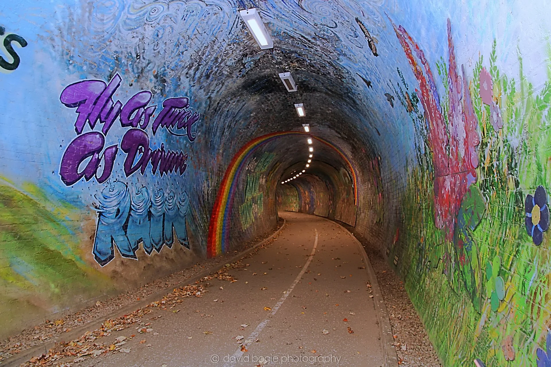 YEAR20221102 140642 Colinton Tunnel 0017.jpg