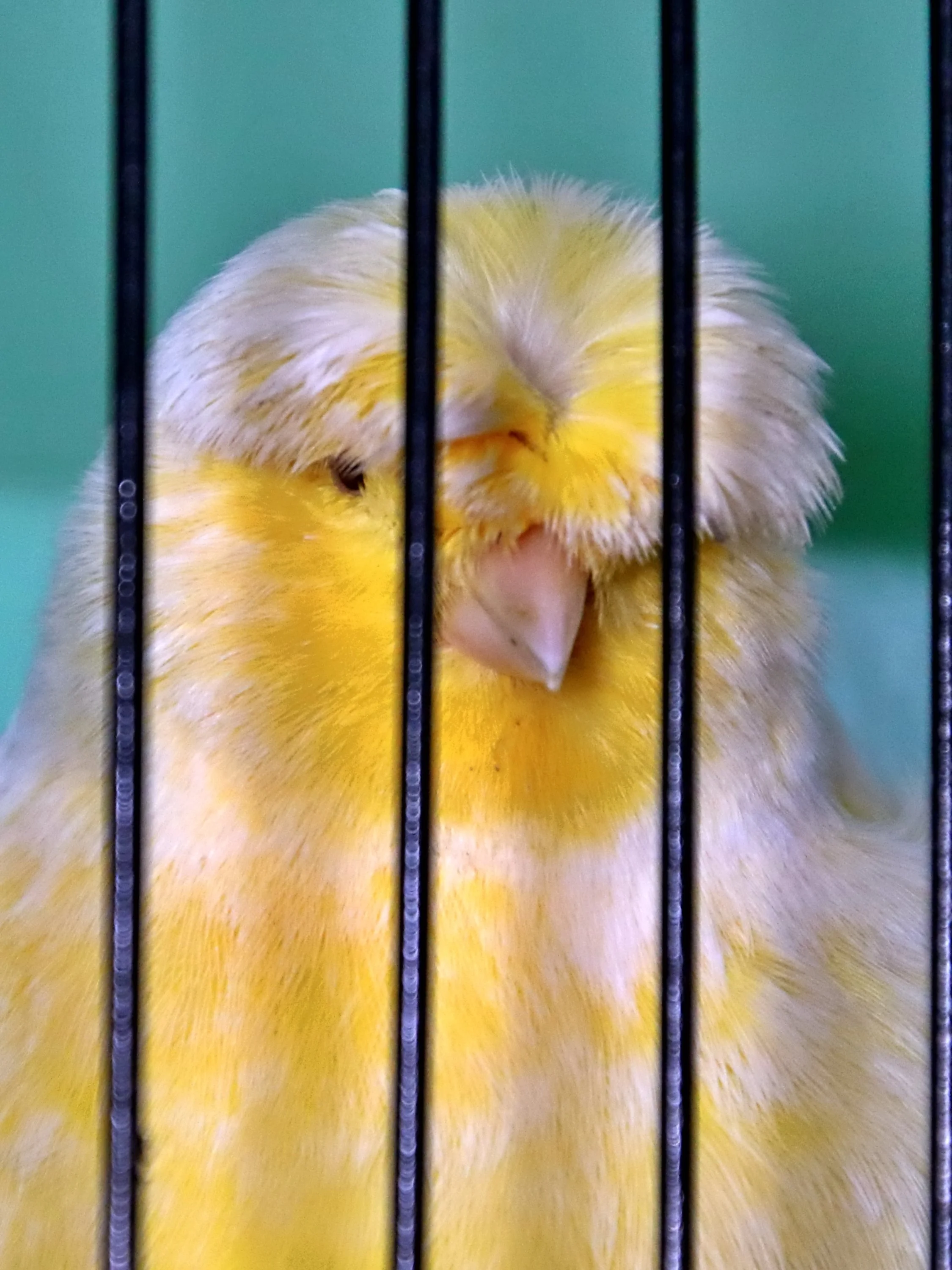 20251102 125554 Markinch CBS  0630.JPG