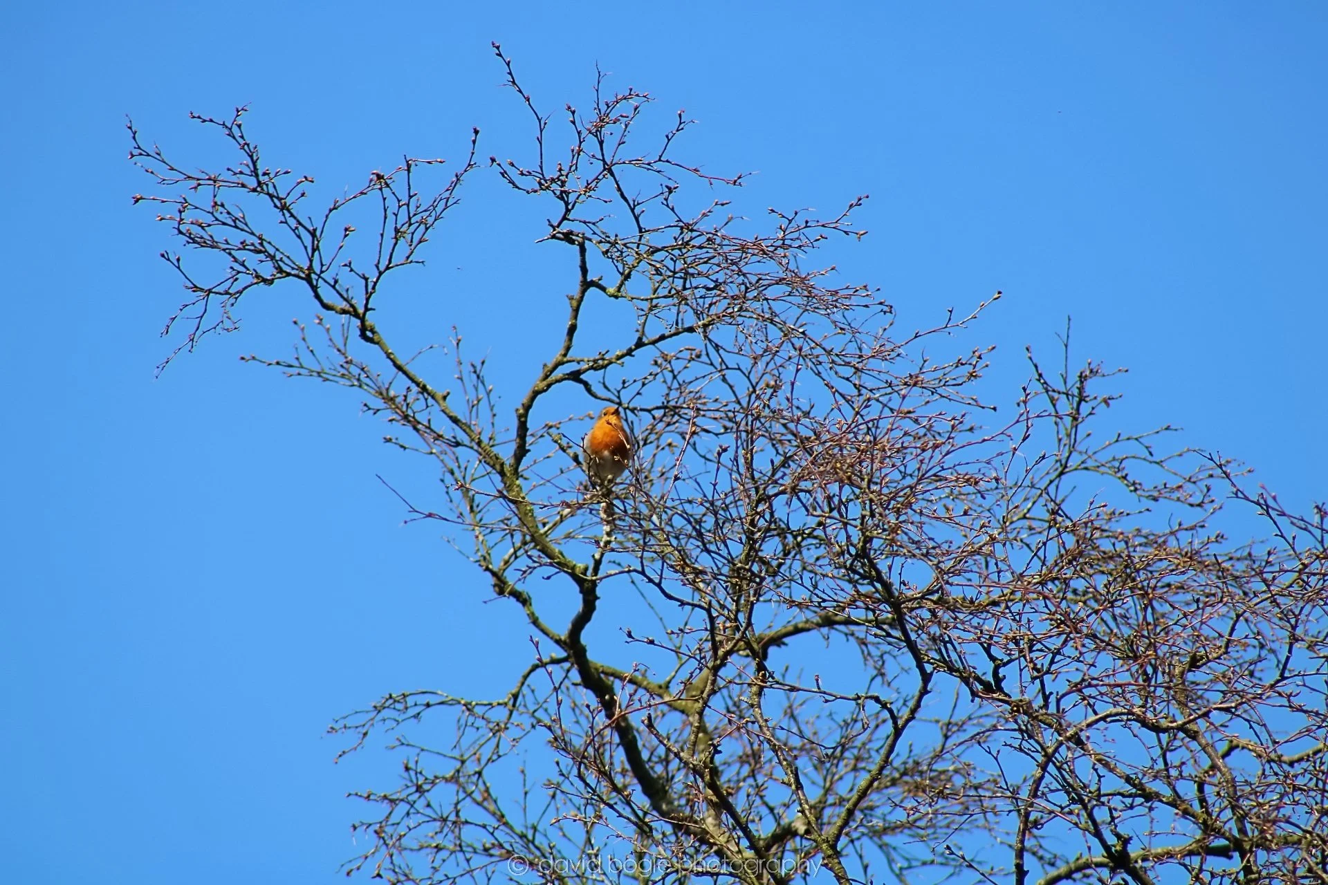 20190410 102705 Vane Farm 0004.jpg
