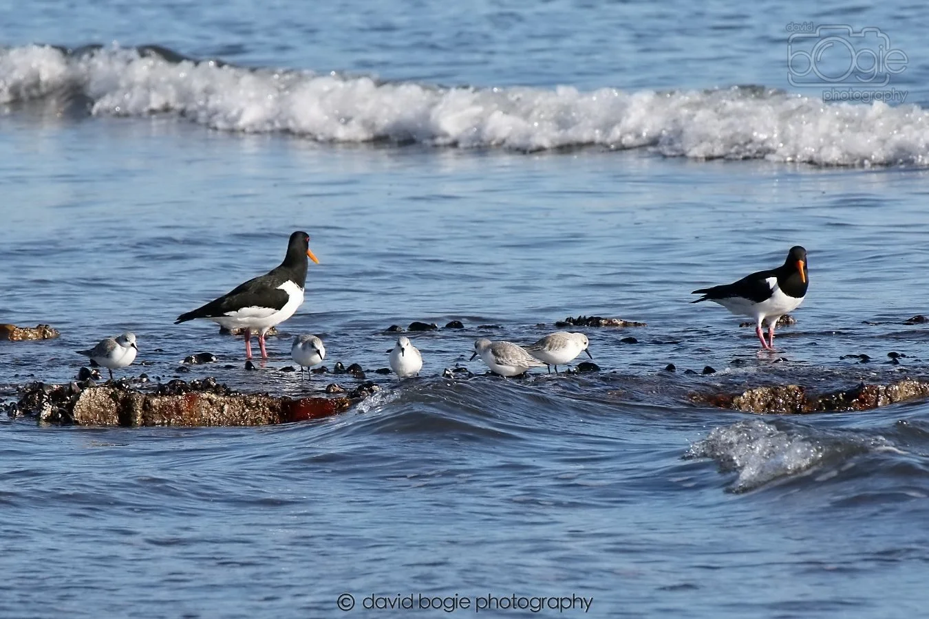 20260307 110953 Kirkcaldy 0023.jpg