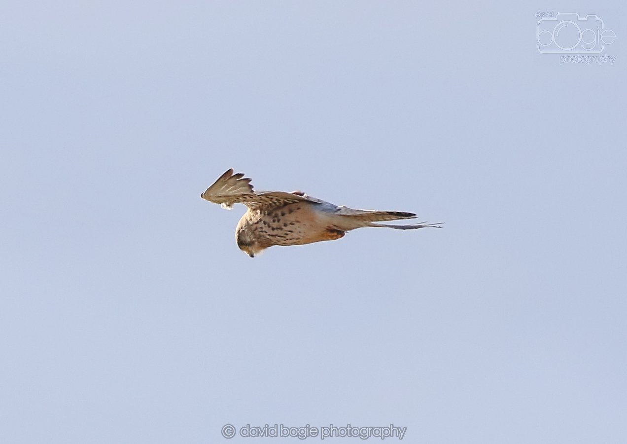 20260314 162054 Elie 0086.jpg