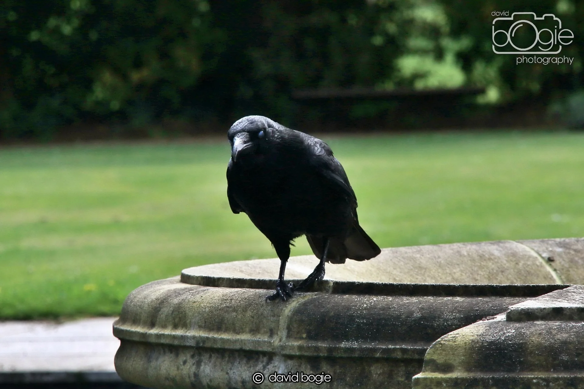 20250505 132452 Beveridge Park 0845.JPG