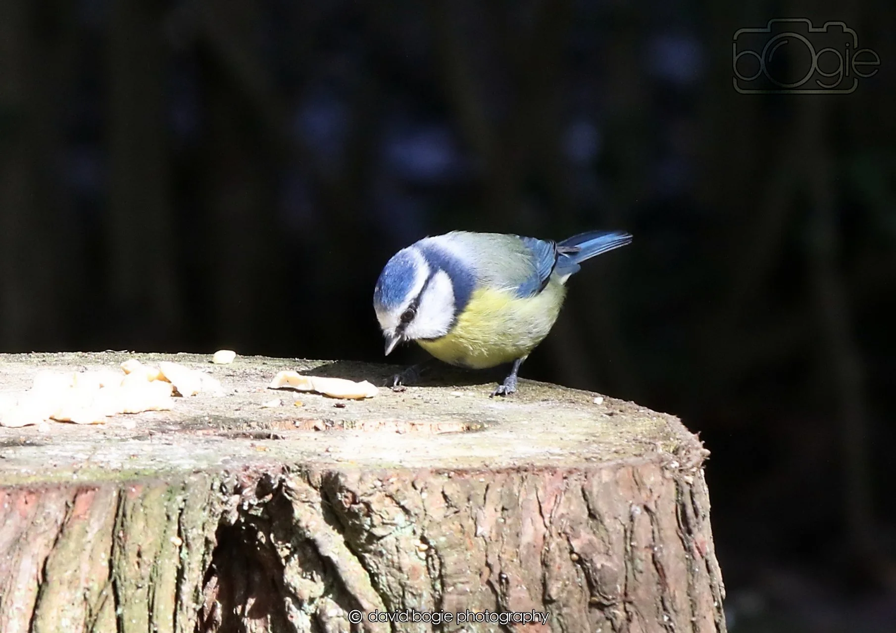 20260330 115242 Dunnikier 0246.jpg