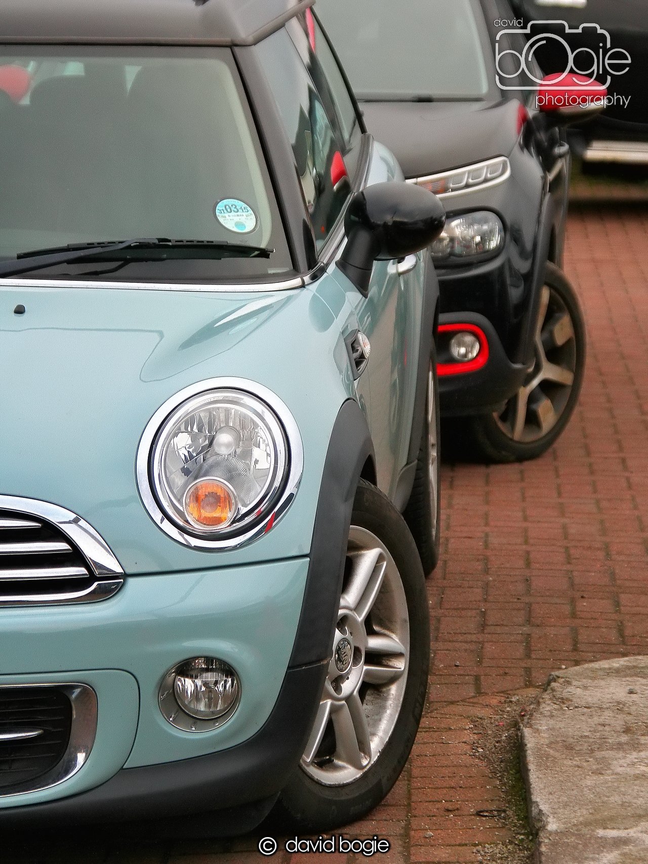 20250129 100502 Reekies 0026 1.JPG