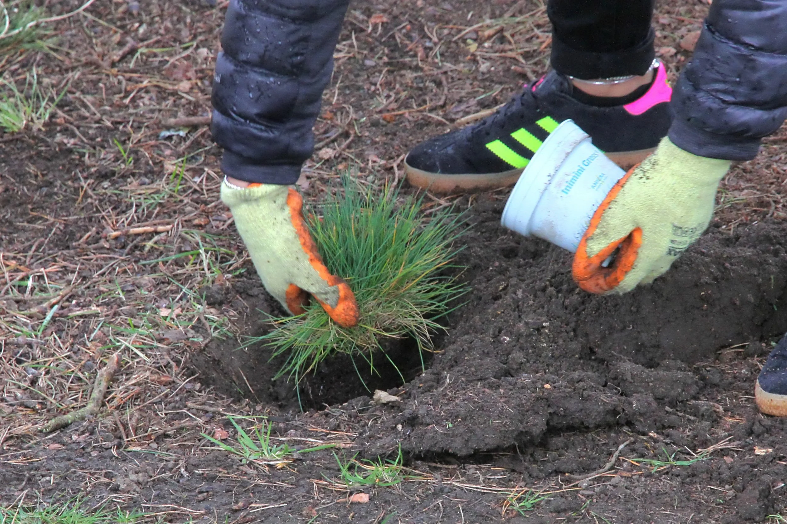 20260403 132617 Dunnikier Sensory Garden 0121.jpg