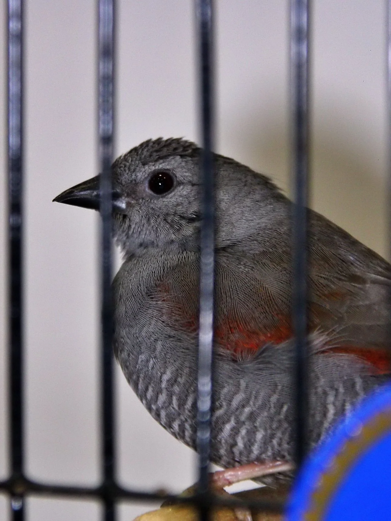 20241103 140030 MCBS Show 0711.JPG