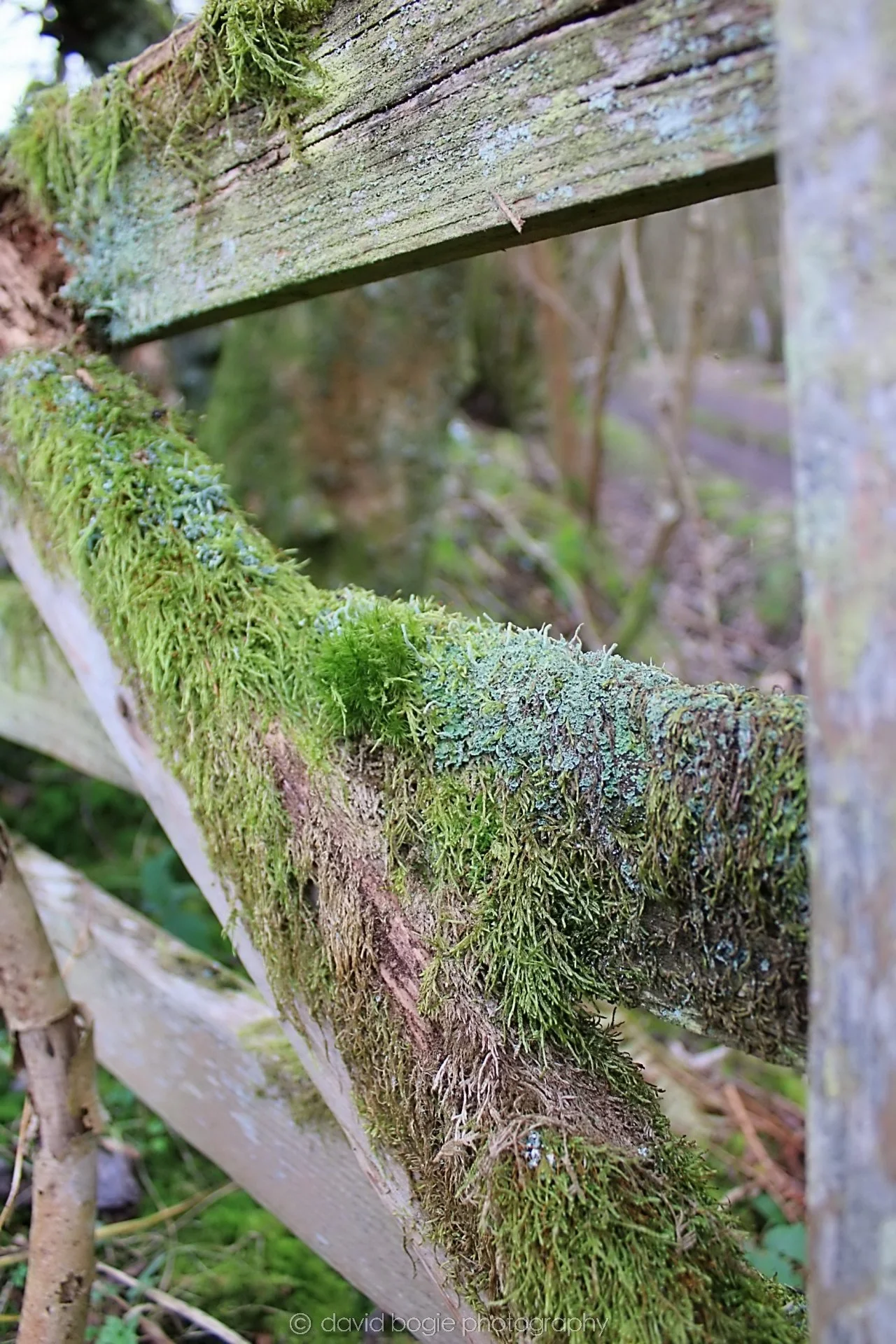 20190219 132223 Glenfarg 0024.jpg