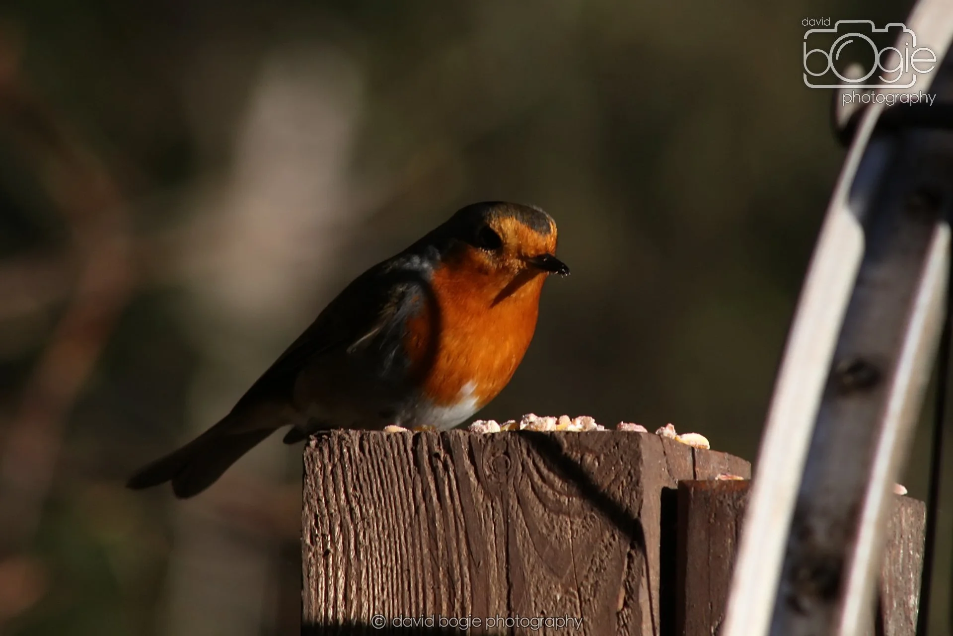 20251125 133854 Silverburn 0118.JPG