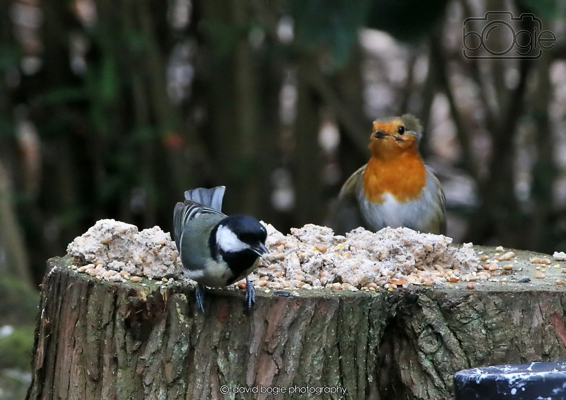 20260403 130122 Dunnikier 0283.jpg