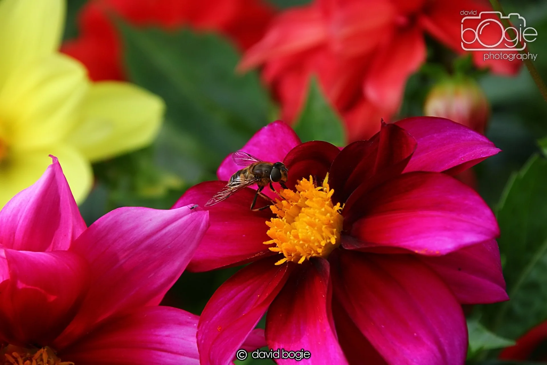 20240722 131719 Beveridge 0074.JPG