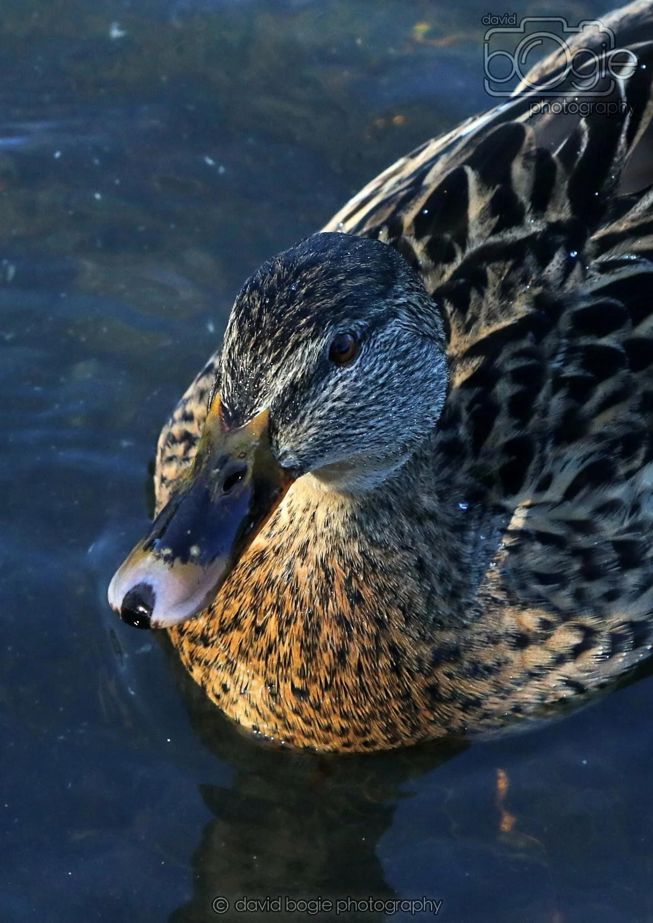 20260319 113250 Beveridge Park 0120.jpg