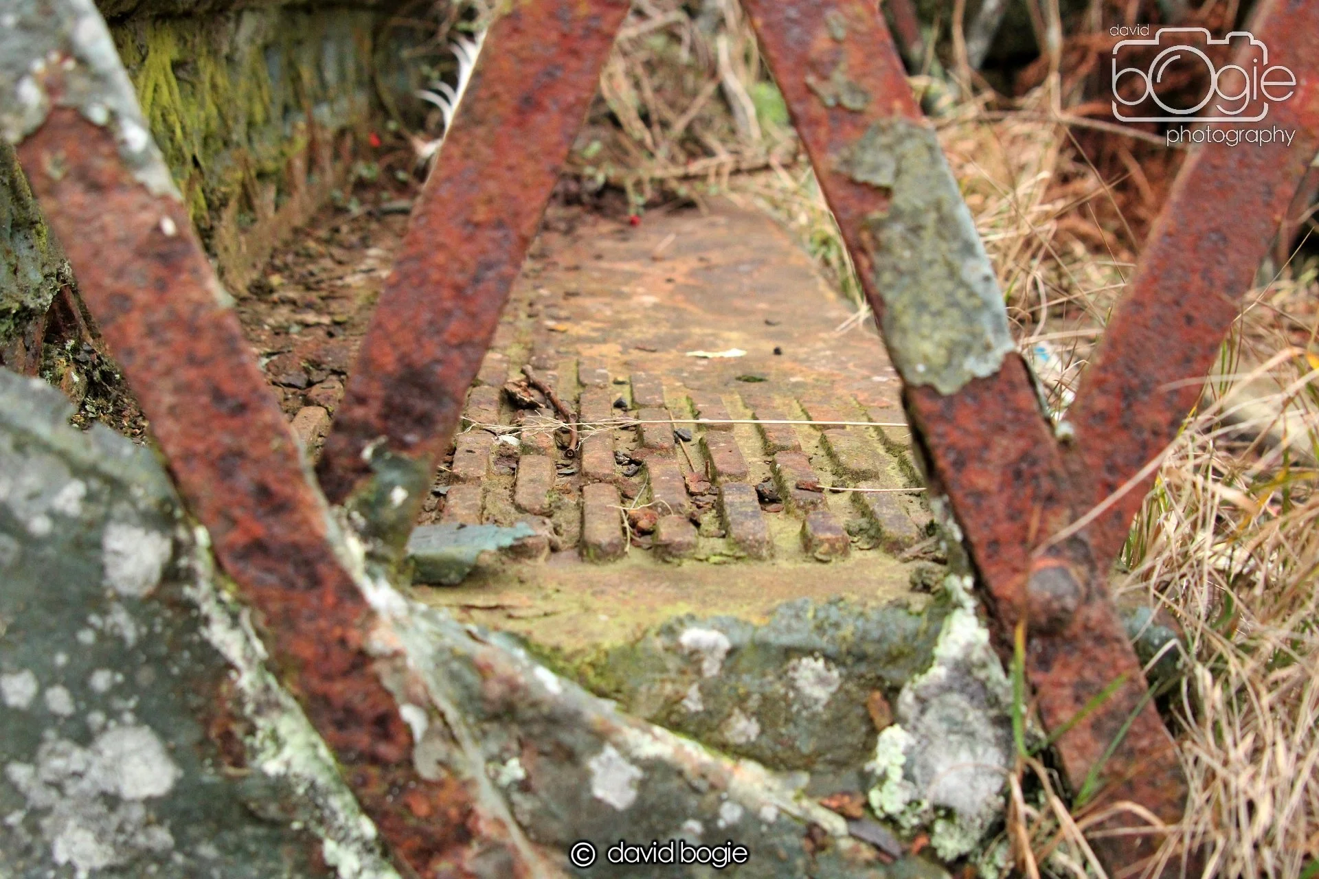 20220108 Dunfermline 00016.JPG