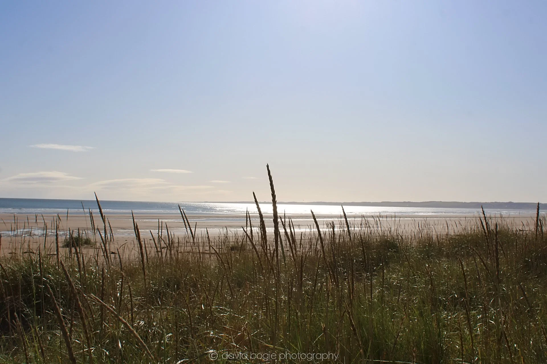 20191002 111820 Tentsmuir 0051.jpg