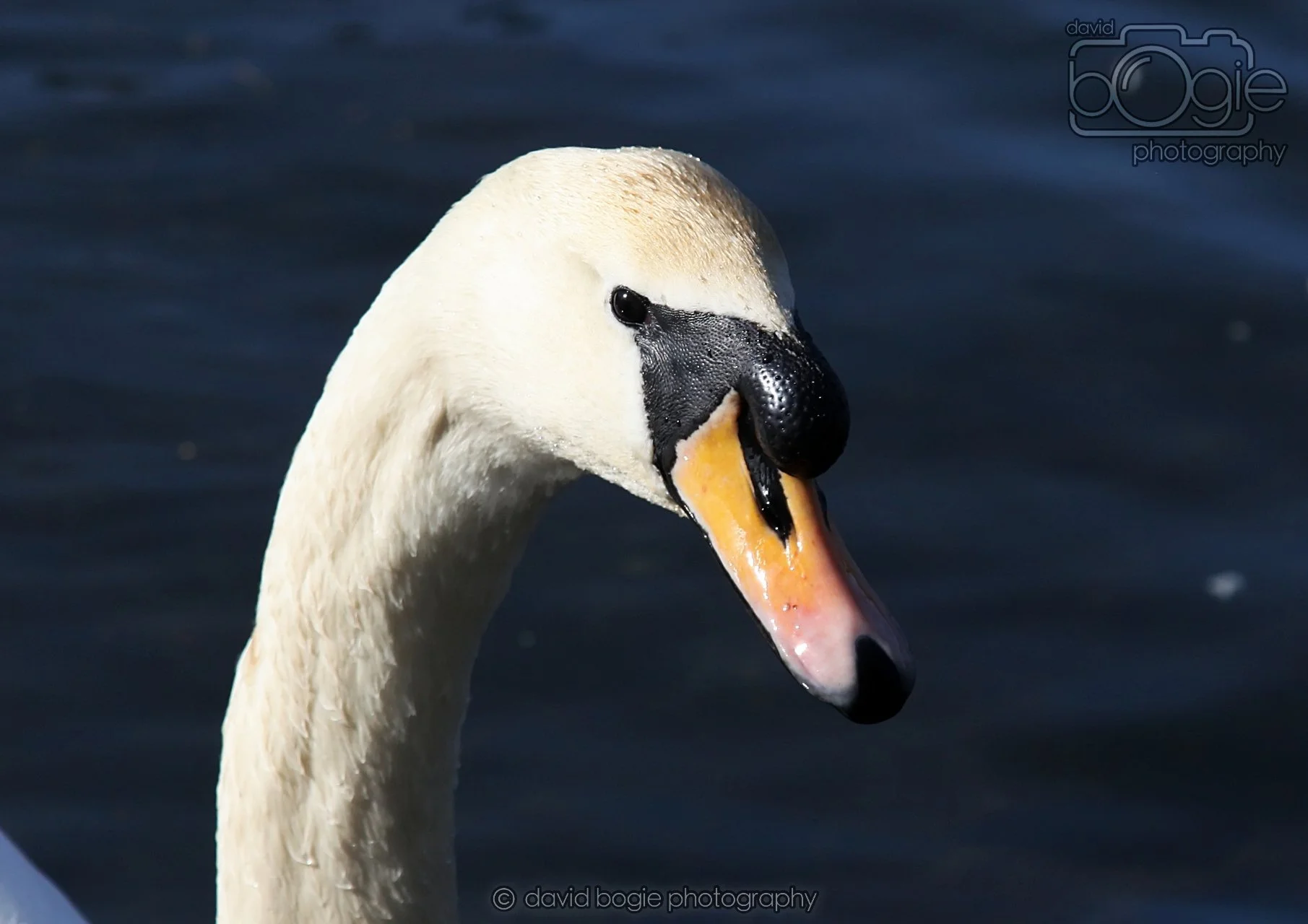 20260319 132356 Beveridge Park 0205.jpg