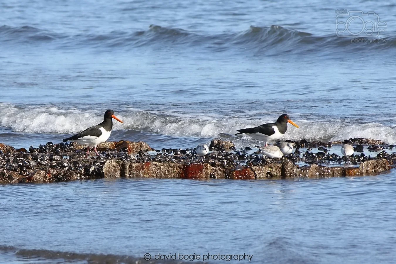 20260307 110928 Kirkcaldy 0009.jpg