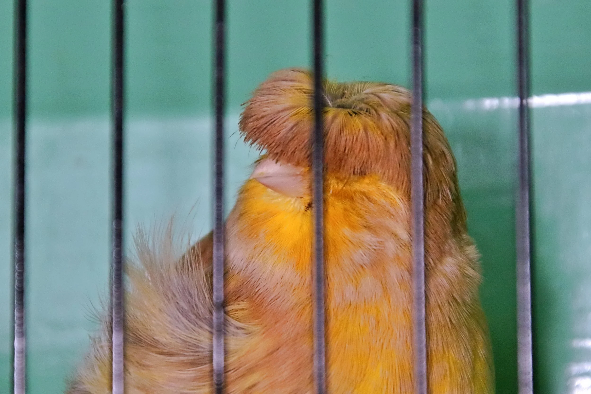 20251102 125622 Markinch CBS  0639.JPG