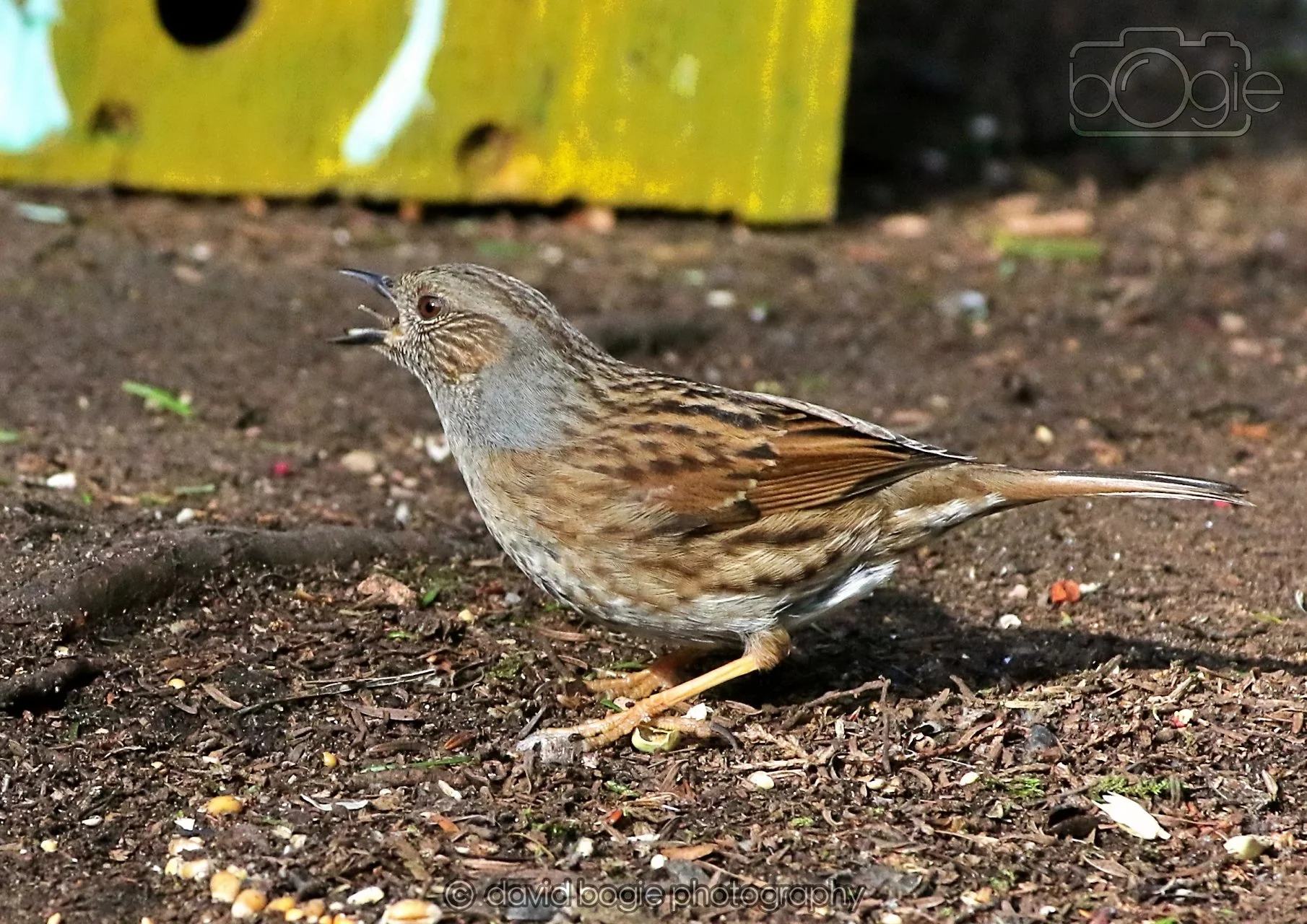 20260322 144520 Dunnikier 0150.jpg