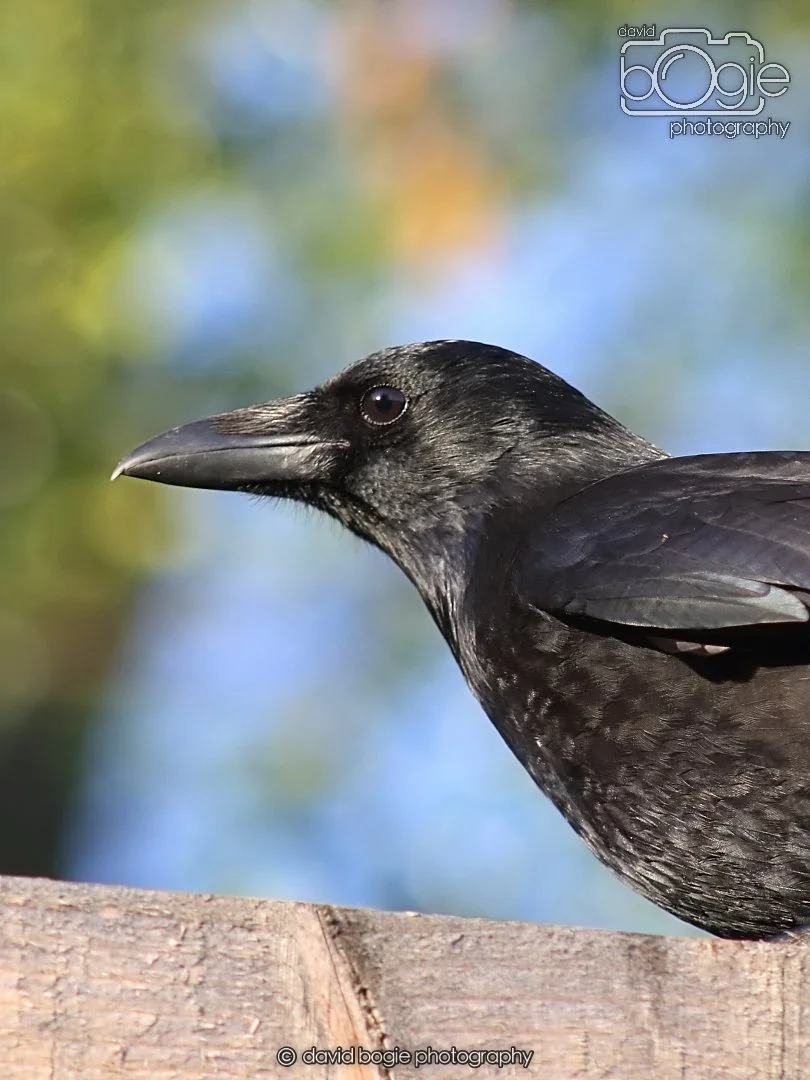 20251231 132842 Silverburn 0102.JPG