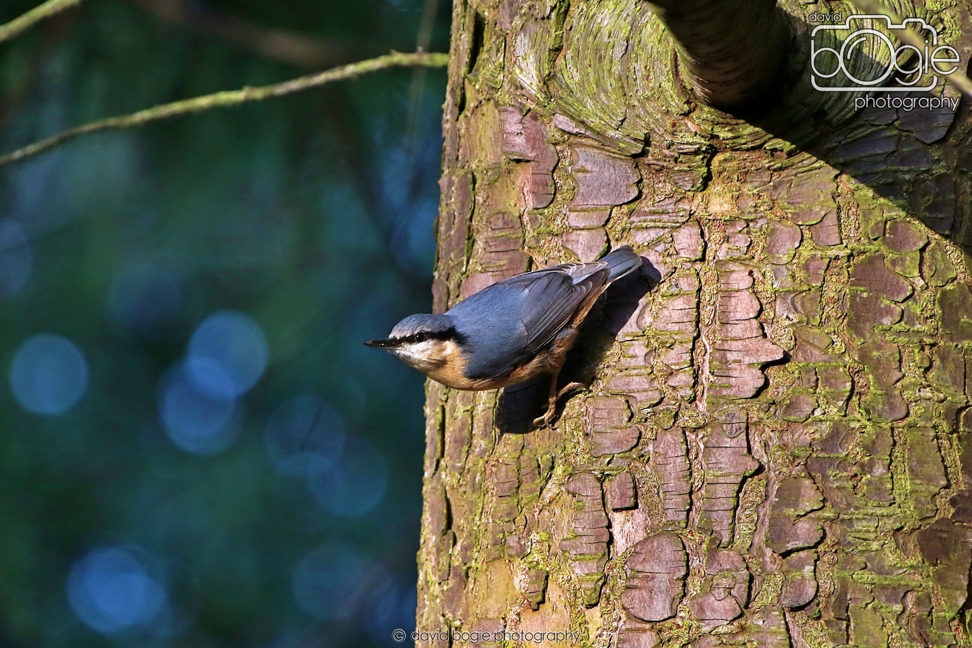 20260128 143406 Dunnikier 0406.JPG